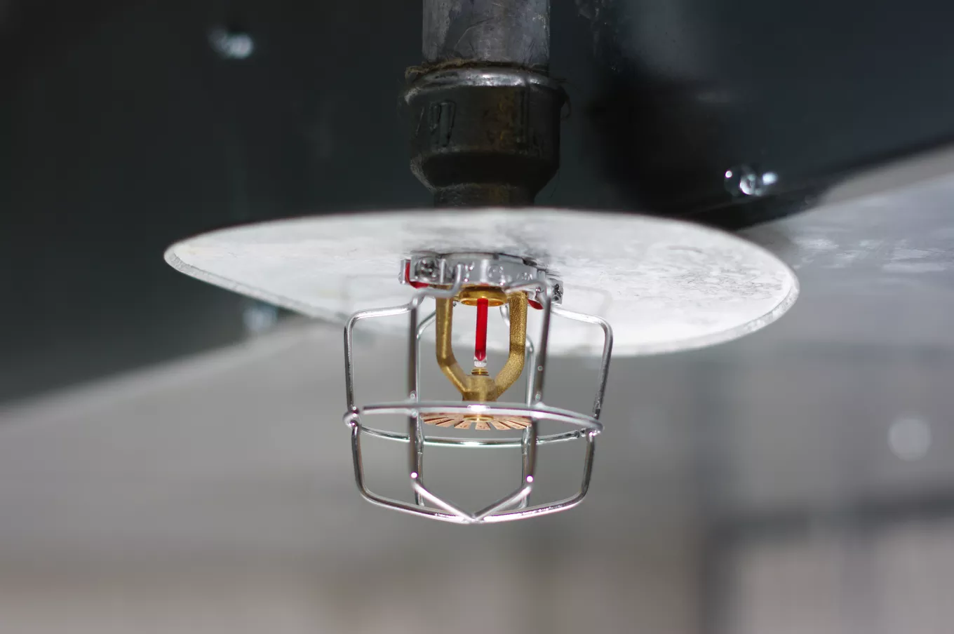 sprinkler
