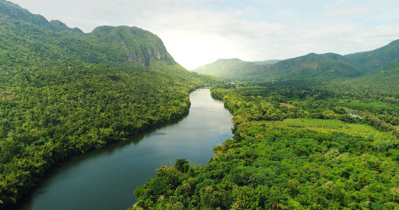 Aerial view of river in green forest with mountains in background