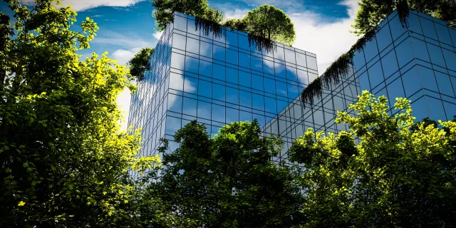 A modern eco-friendly office building in green forests - 3d render