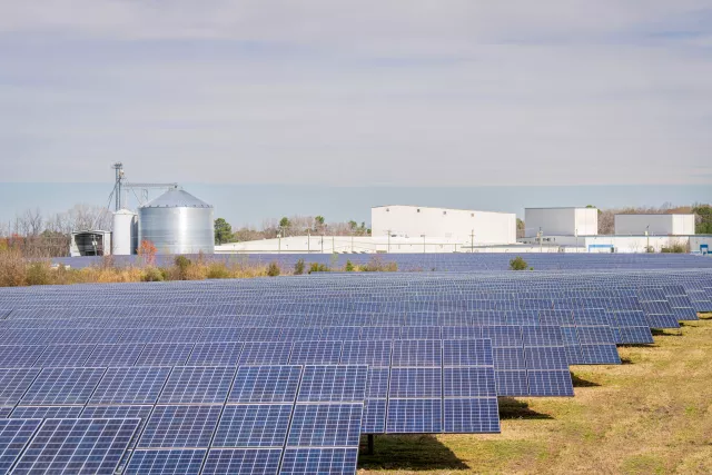 solar panel in a field