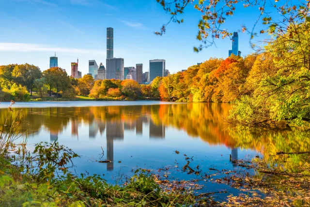 Central park, New York