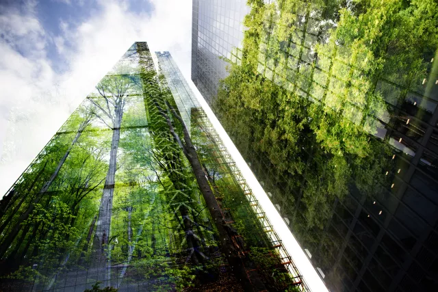 What is Bilan Carbone? Understanding carbon footprint