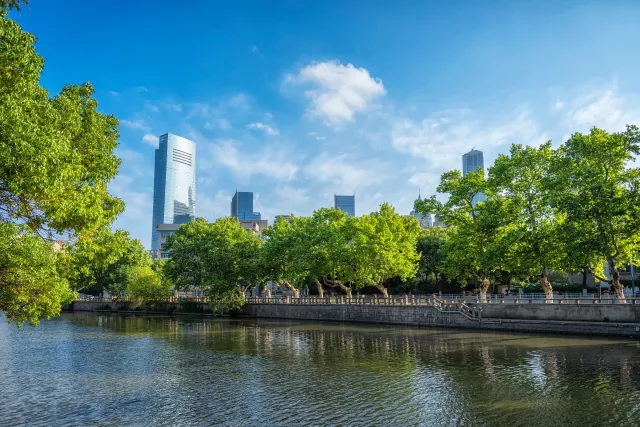 Modern urban business buildings and trees by a river